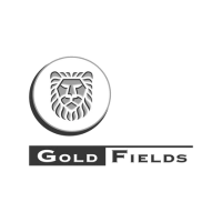 gold-fields gold fields